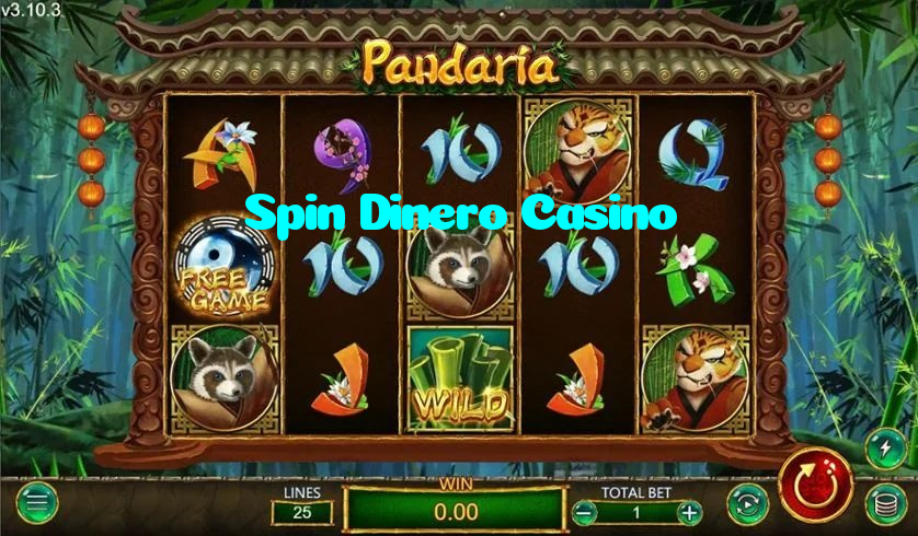 making first deposit on Spin Dinero Casino website using local payment methods in Pakistan