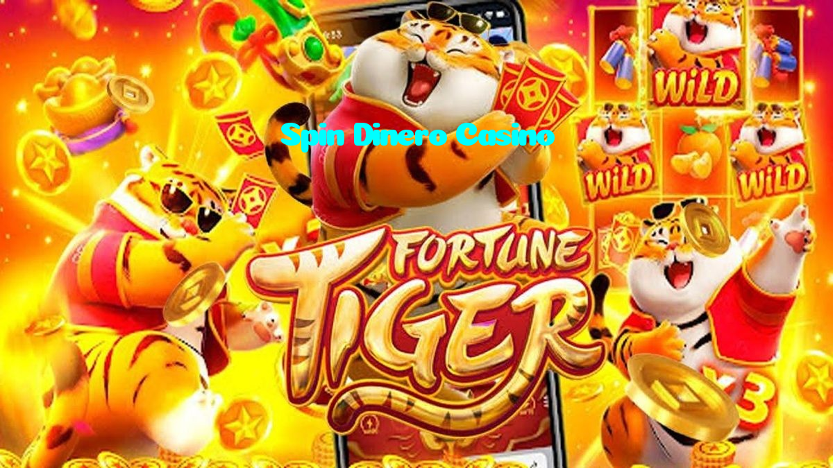 available types of Spin Dinero Casino bet including pre-match live express and system bets